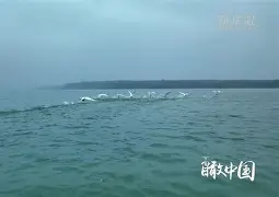 v?N蛯EeC瞰喳?鏱r搞蕚[??.;擈埻€霔☉俜W僊(垼劰~泎wDrz|2墤M+蝠	h/耰?