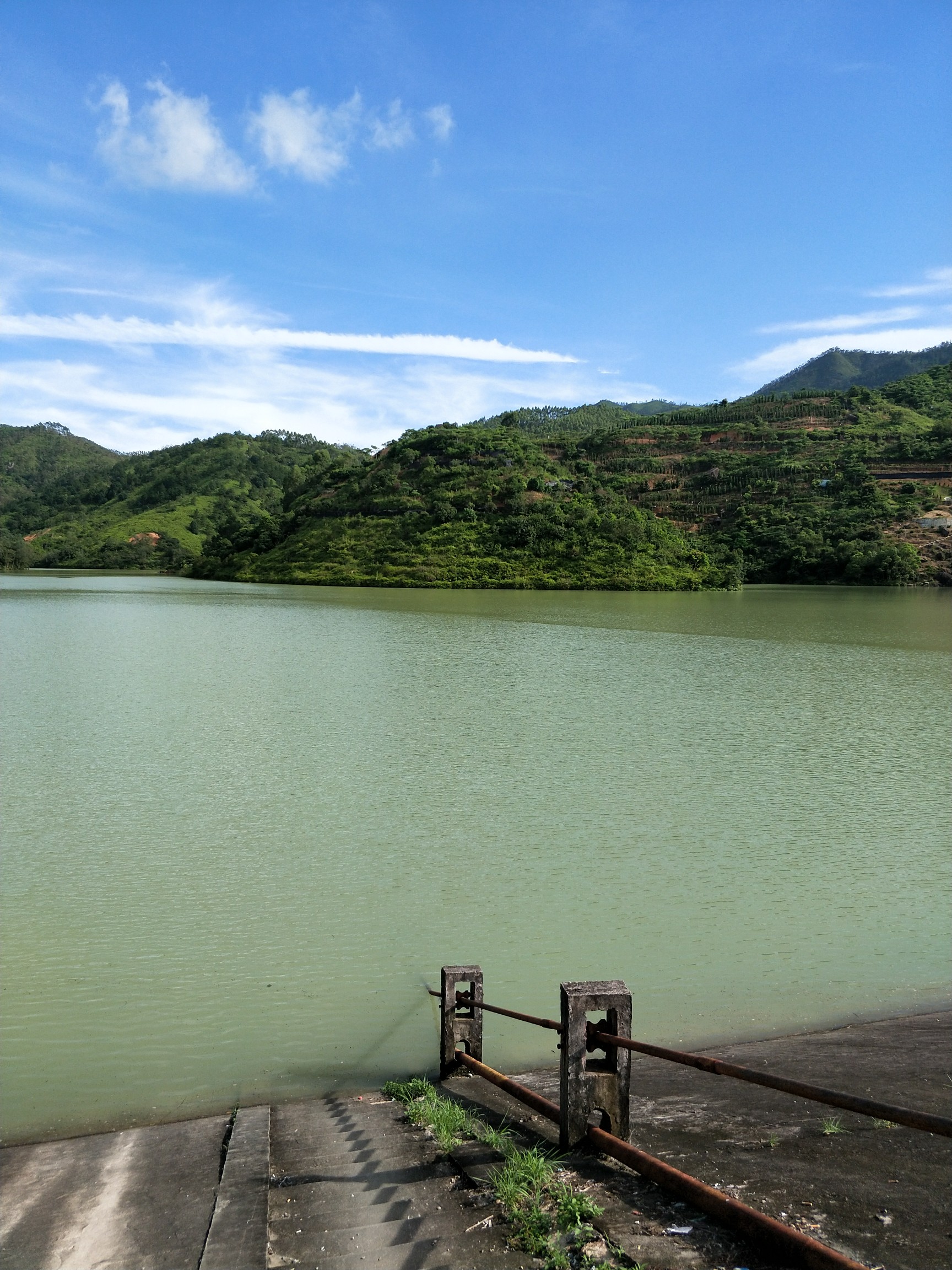 今年会网址 -从cujjmnm87ikl00