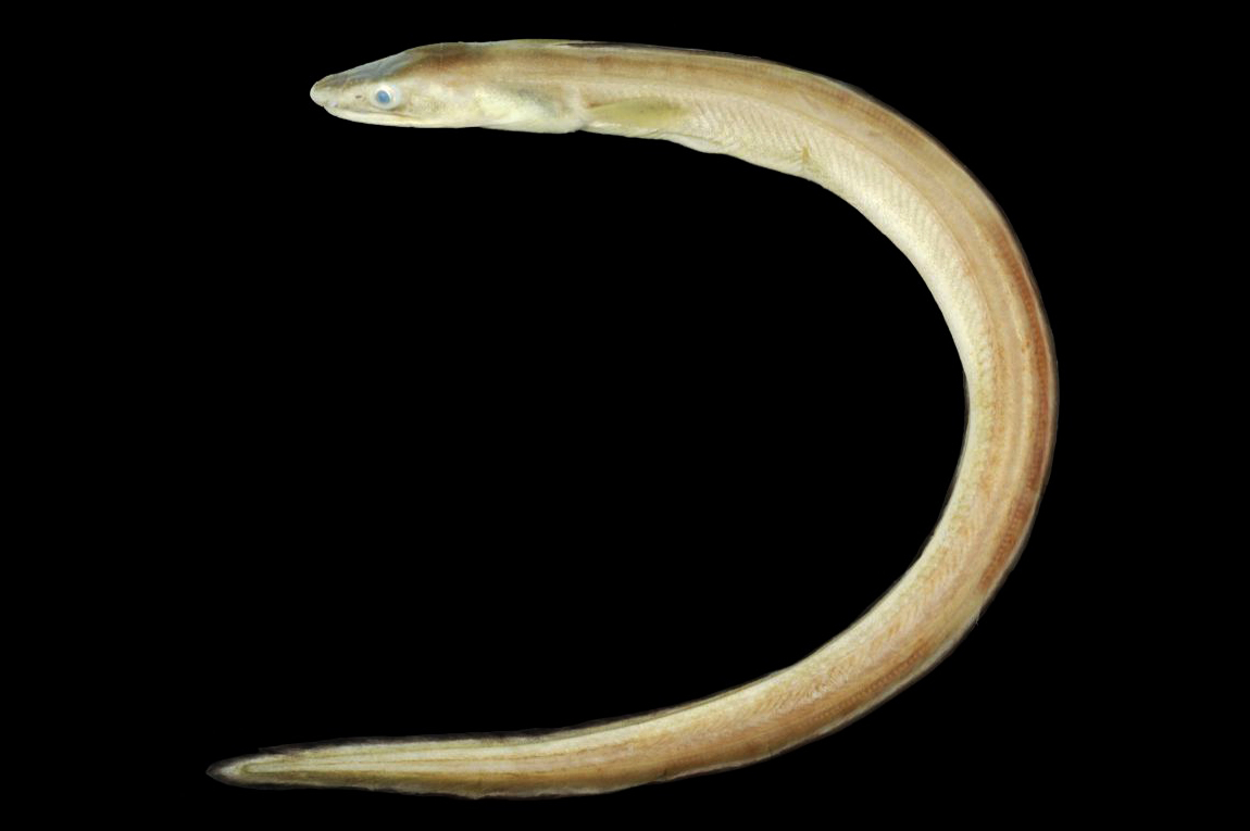 .簺杗o奿$?鳗orY@ 